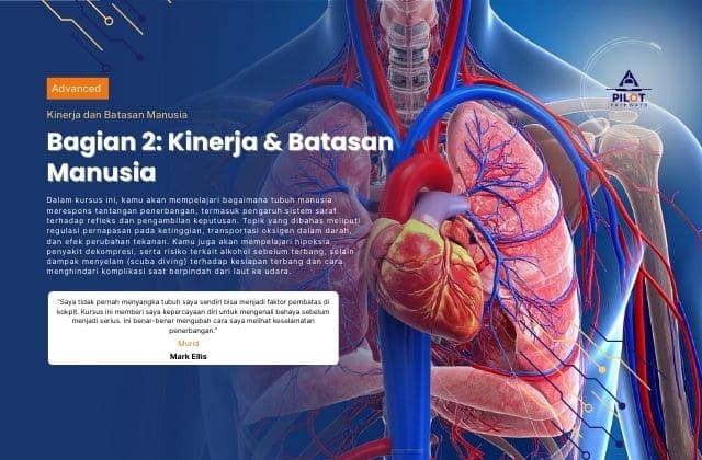 Bagian 2: Kinerja dan Batasan Manusia